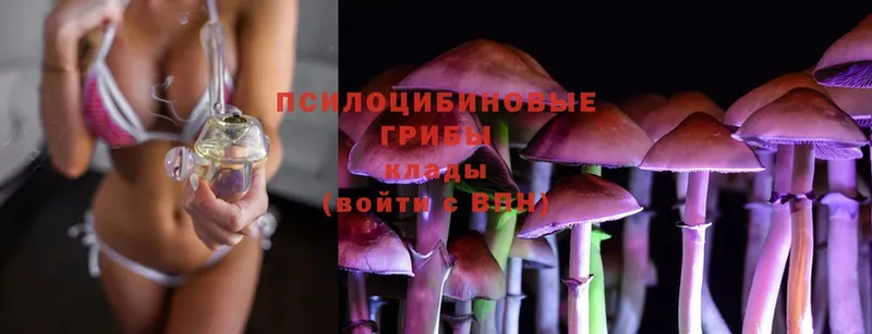 Галлюциногенные грибы MAGIC MUSHROOMS  Буйнакск 